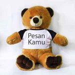 Boneka Beruang Besar