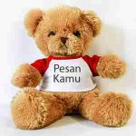 Boneka Beruang Kecil